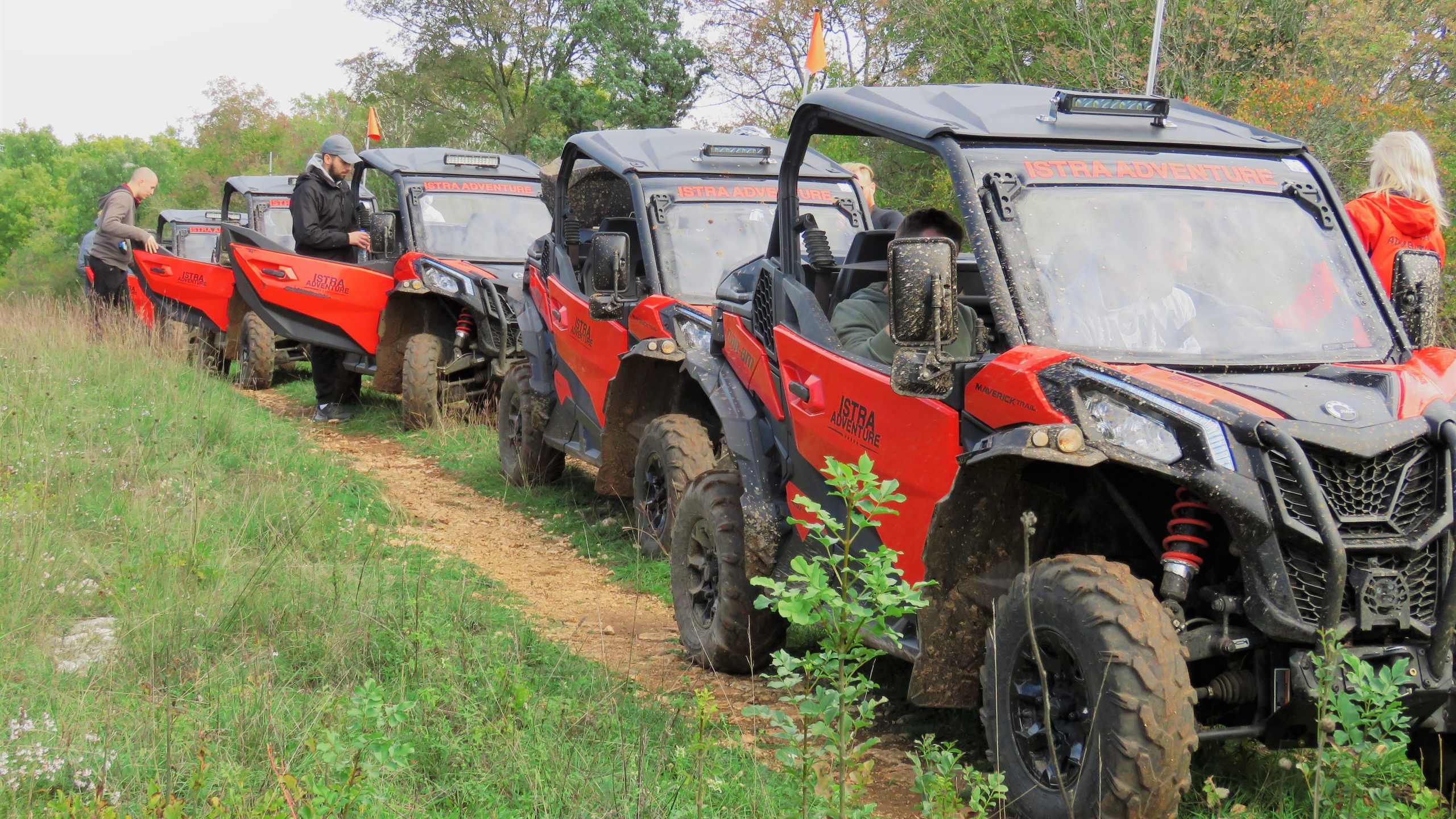 Buggy Family Tour